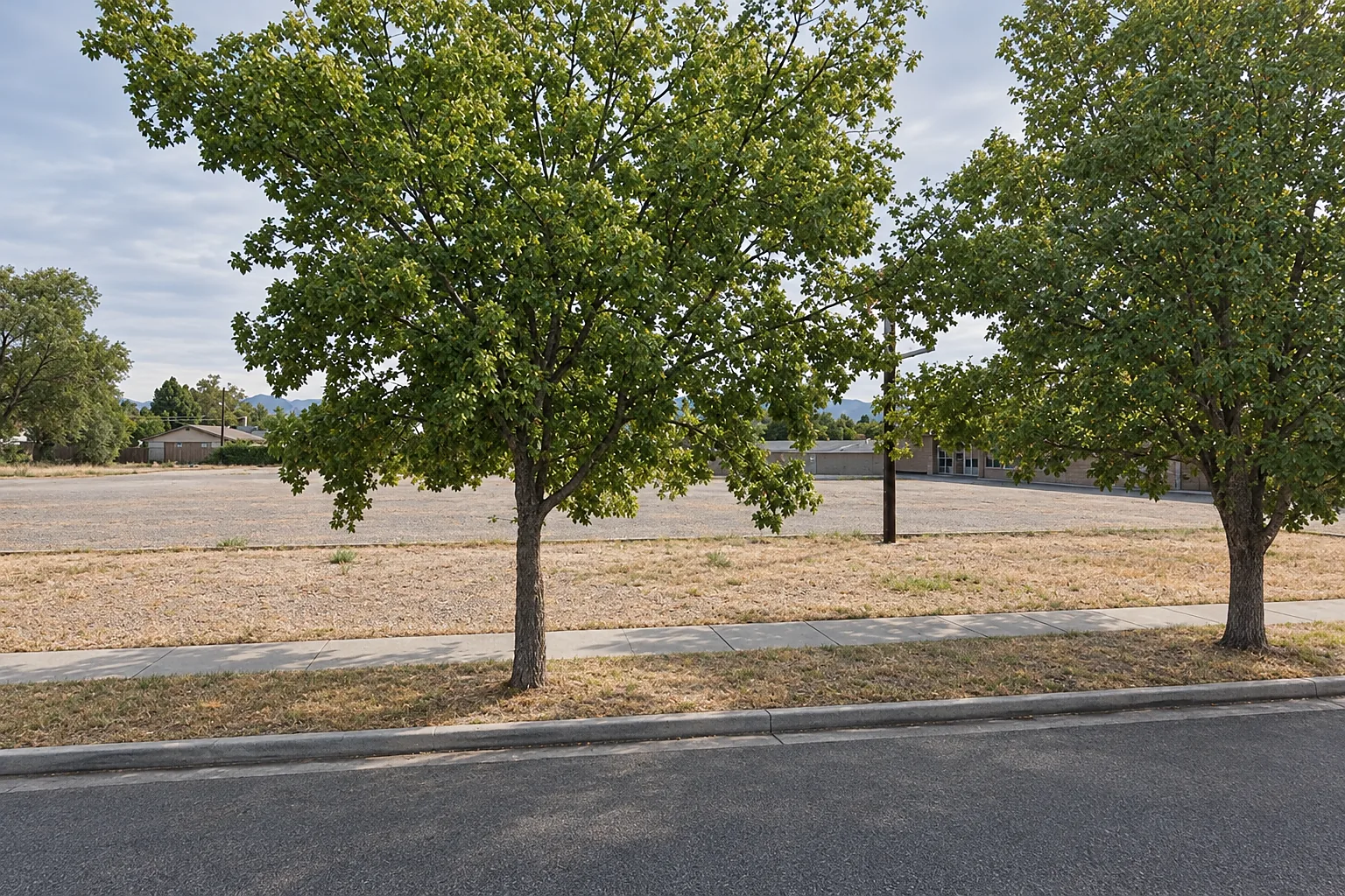 Vacant lot on a tree-lined street in the Glendale area of Salt Lake City, with a low commercial building beyond