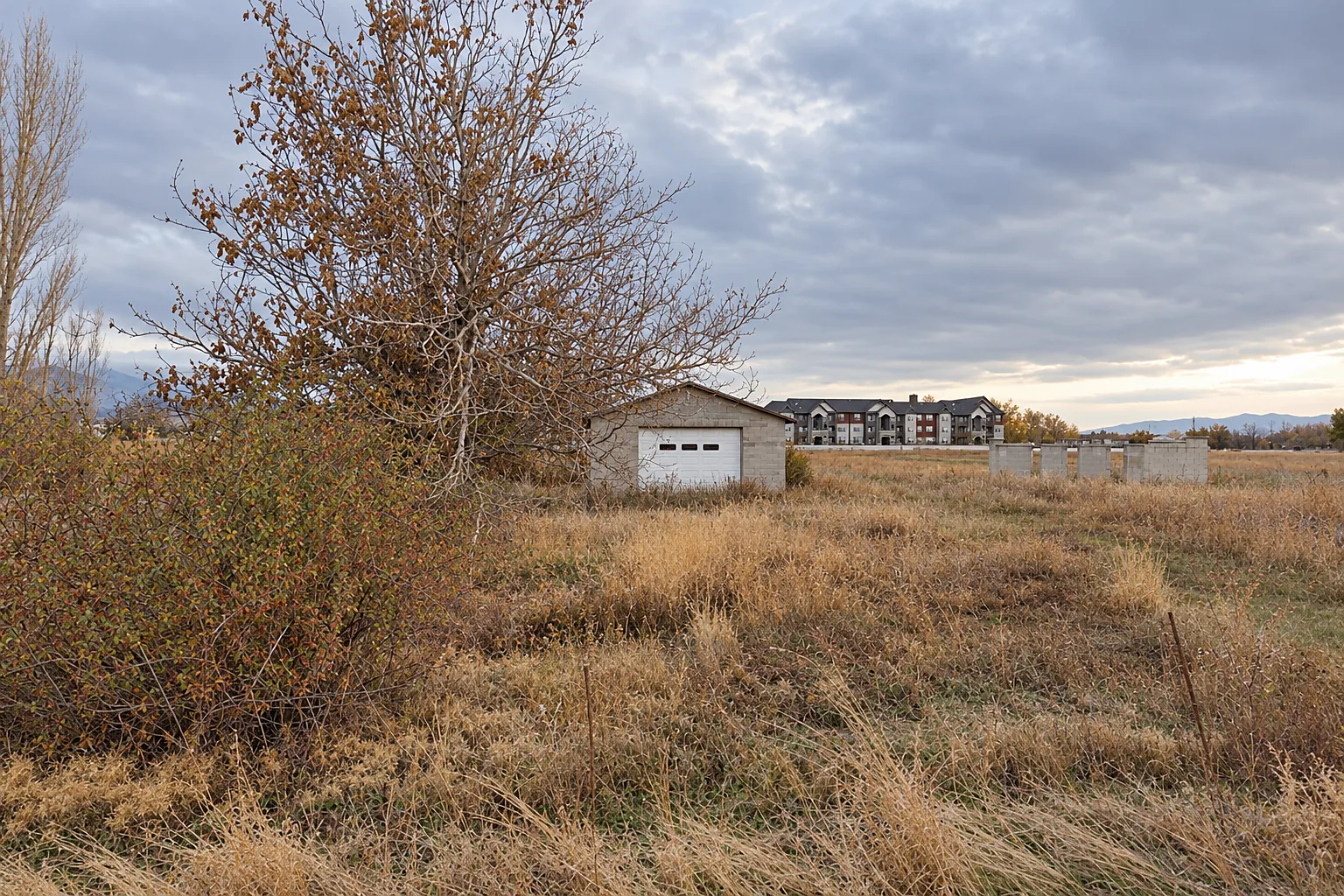 Open field of dry grass in Payson with an older outbuilding and apartment buildings in the distance