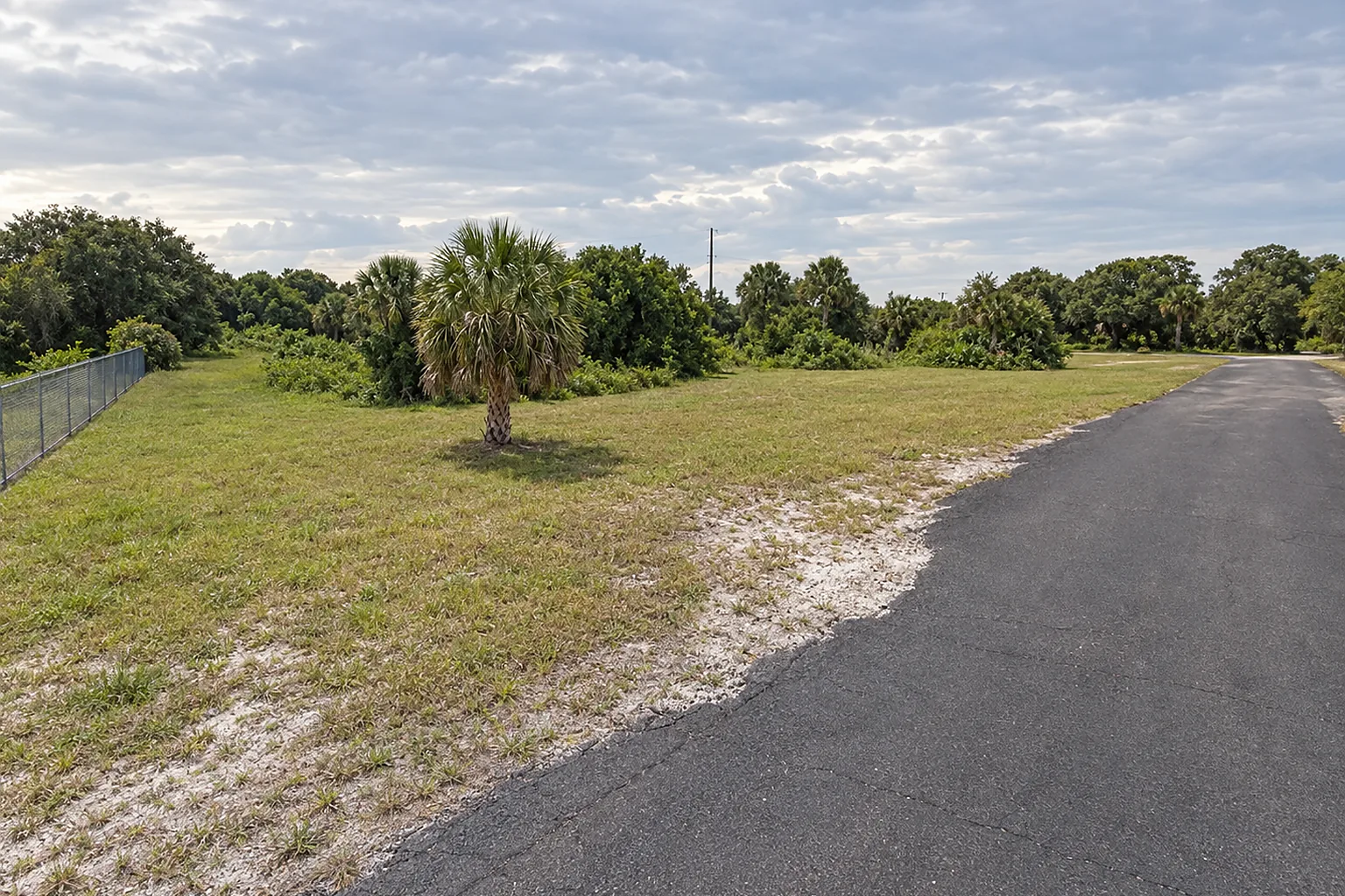Vacant grassy lot with a sabal palm beside a quiet street in Titusville, Florida